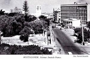 238- Mostaganem - Avenue Anatole-France